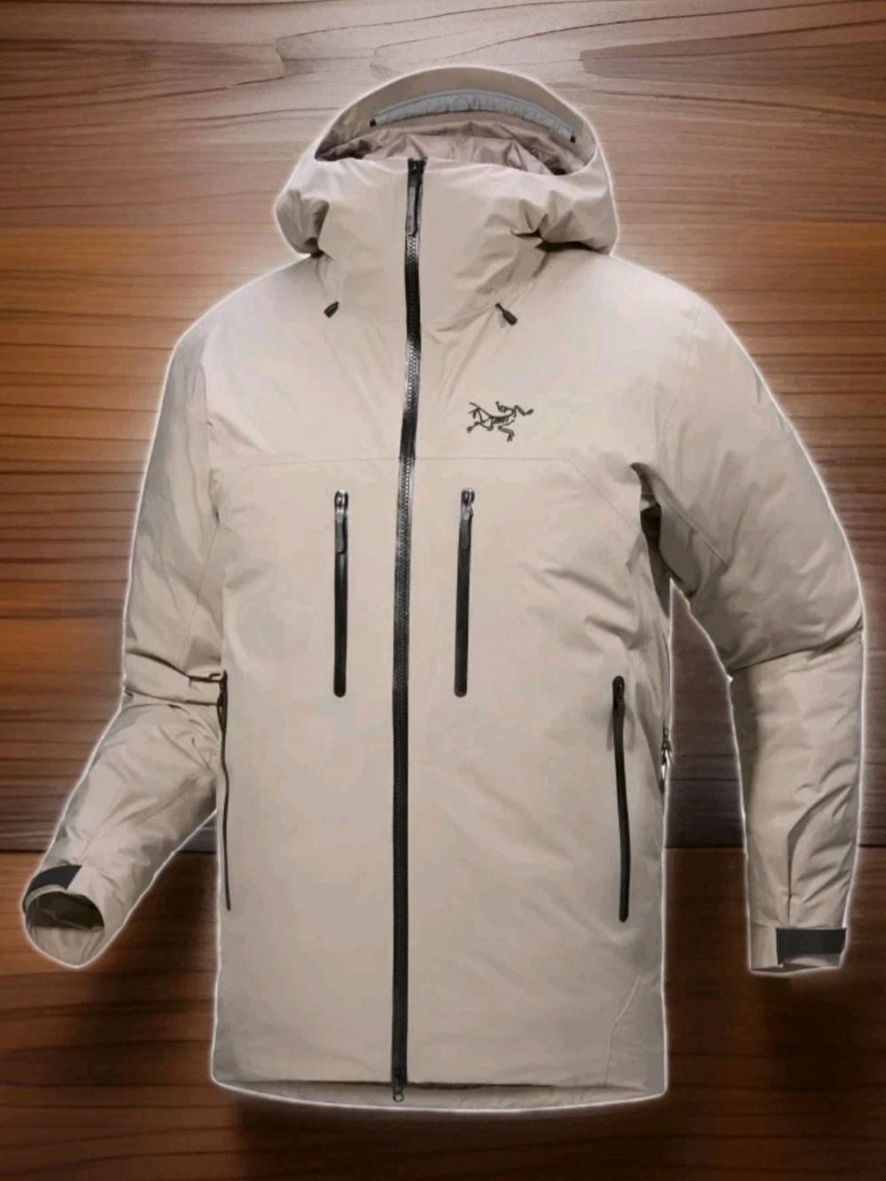 Arc'teryx Men's Beta Down Parka